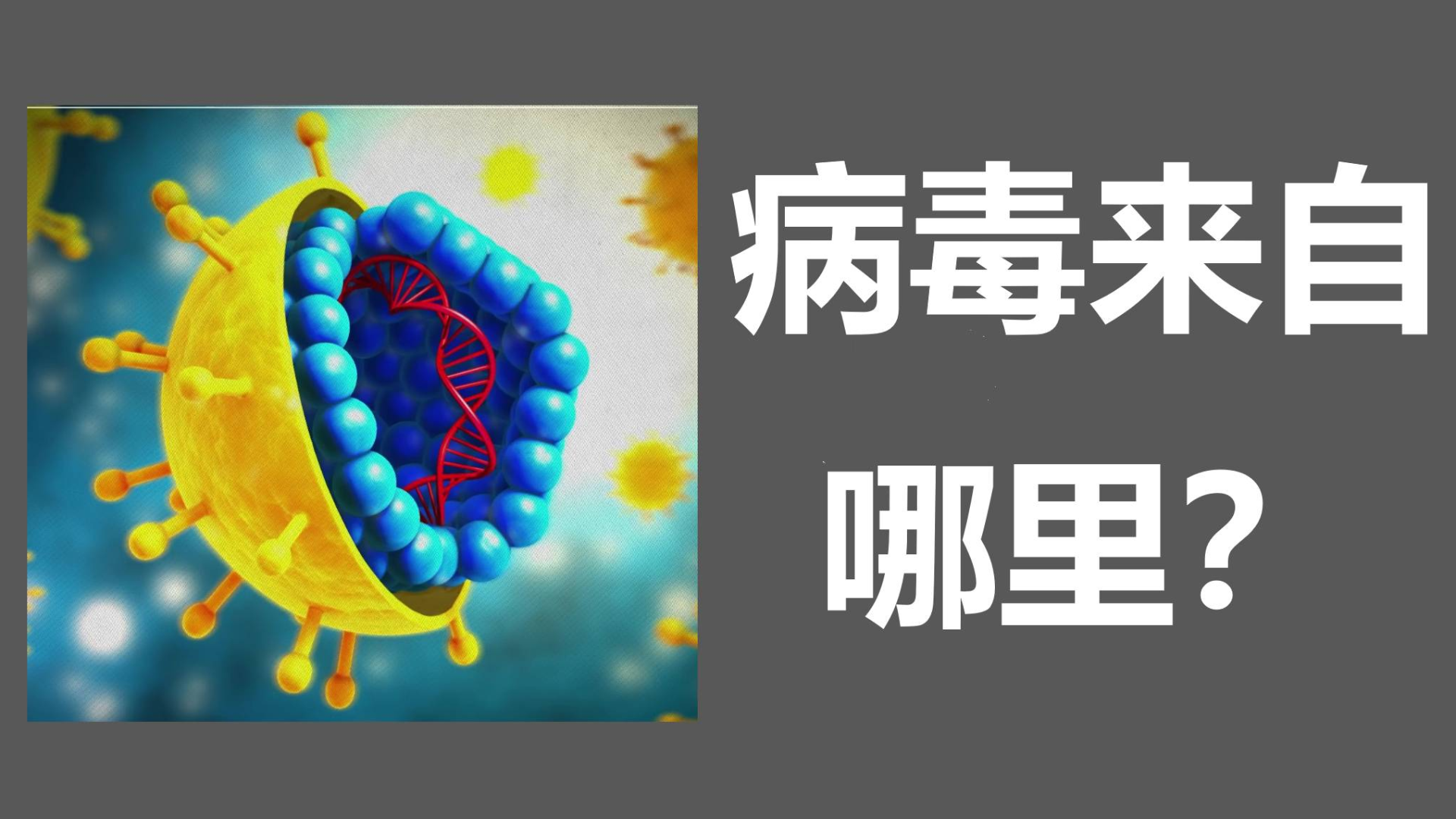 病毒来自哪里??